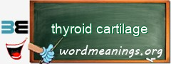 WordMeaning blackboard for thyroid cartilage